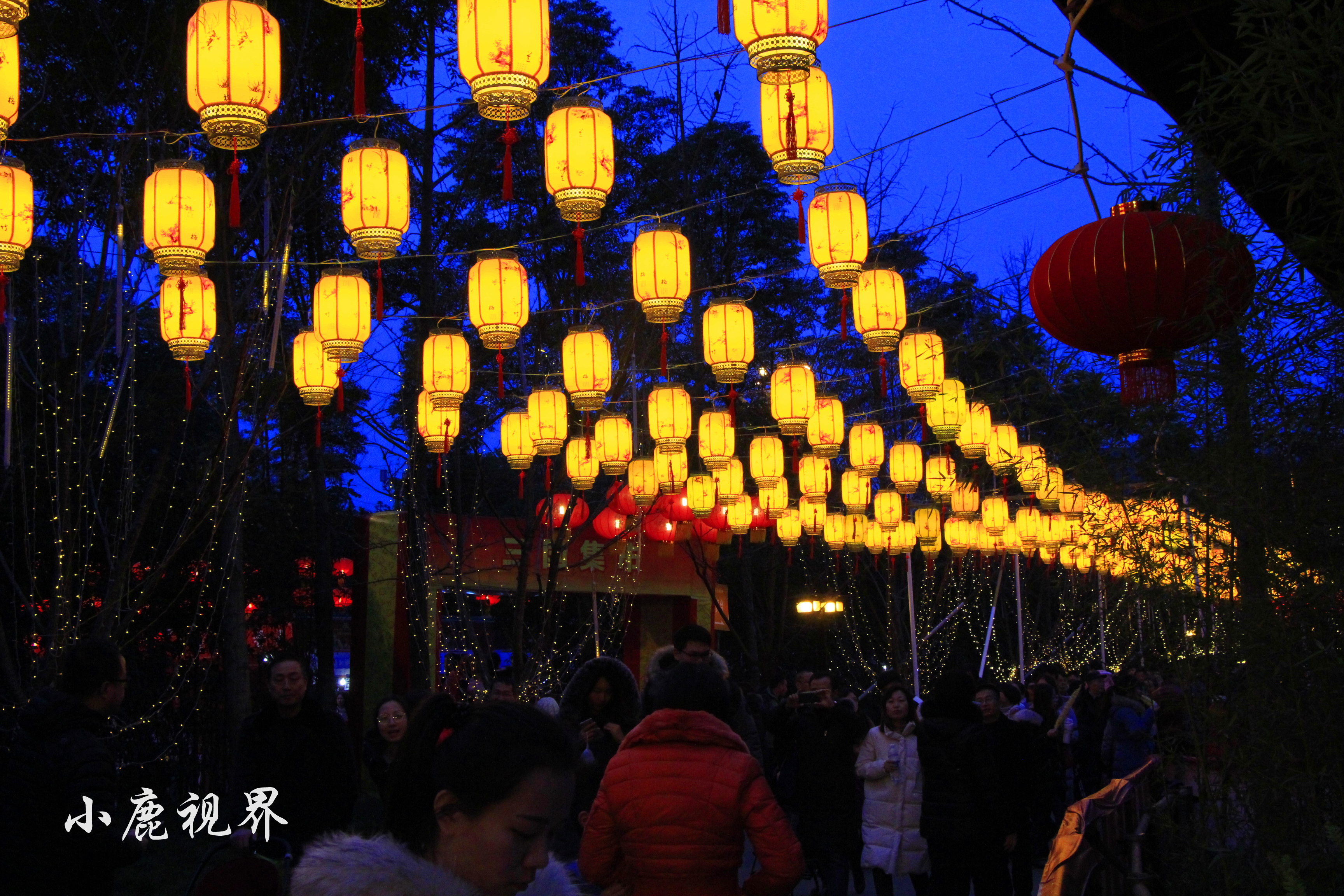 打卡成都武侯祠：感受三国文化，看最热闹的庙会