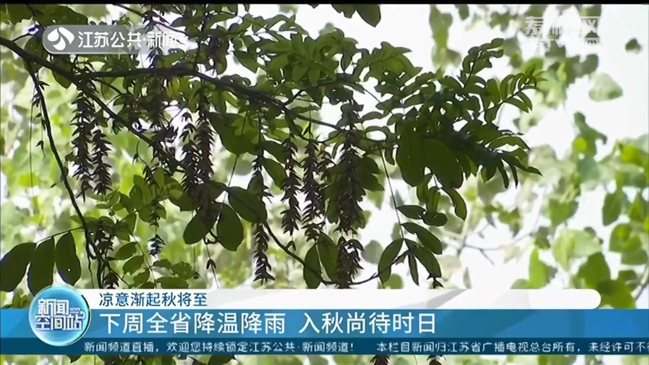 凉意渐起秋将至 下周江苏全省降温降雨