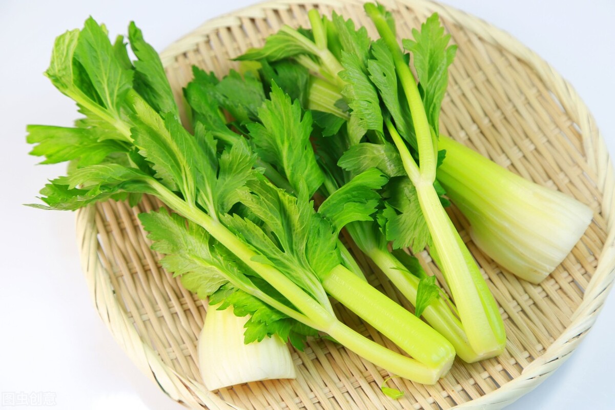 Celery lowers blood pressure?Can people with high blood pressure not