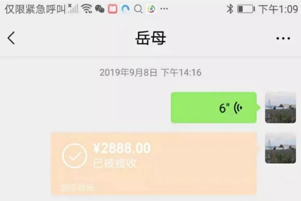 林生斌,这次跑不掉了