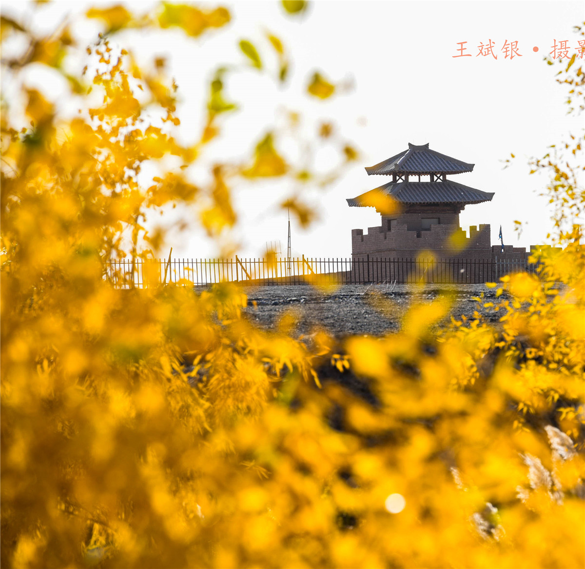 ��һ����˵�����������ȥ���ؾ����������鵽��