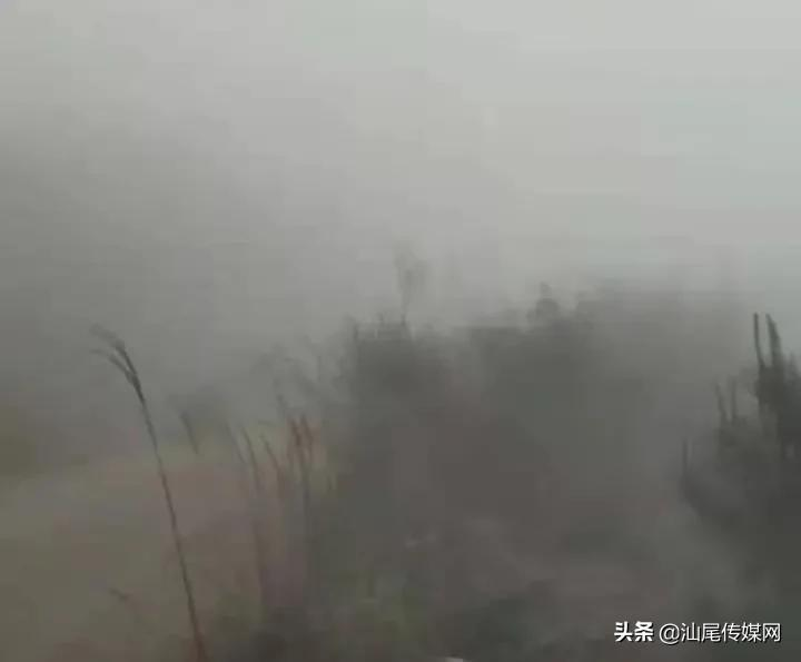 海丰8个人驾车上山祭祖,遭遇大雾天气迷路了