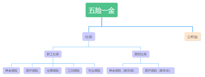 五险一金是什么？和社保、医保、新农合有什么区别？ 第1张