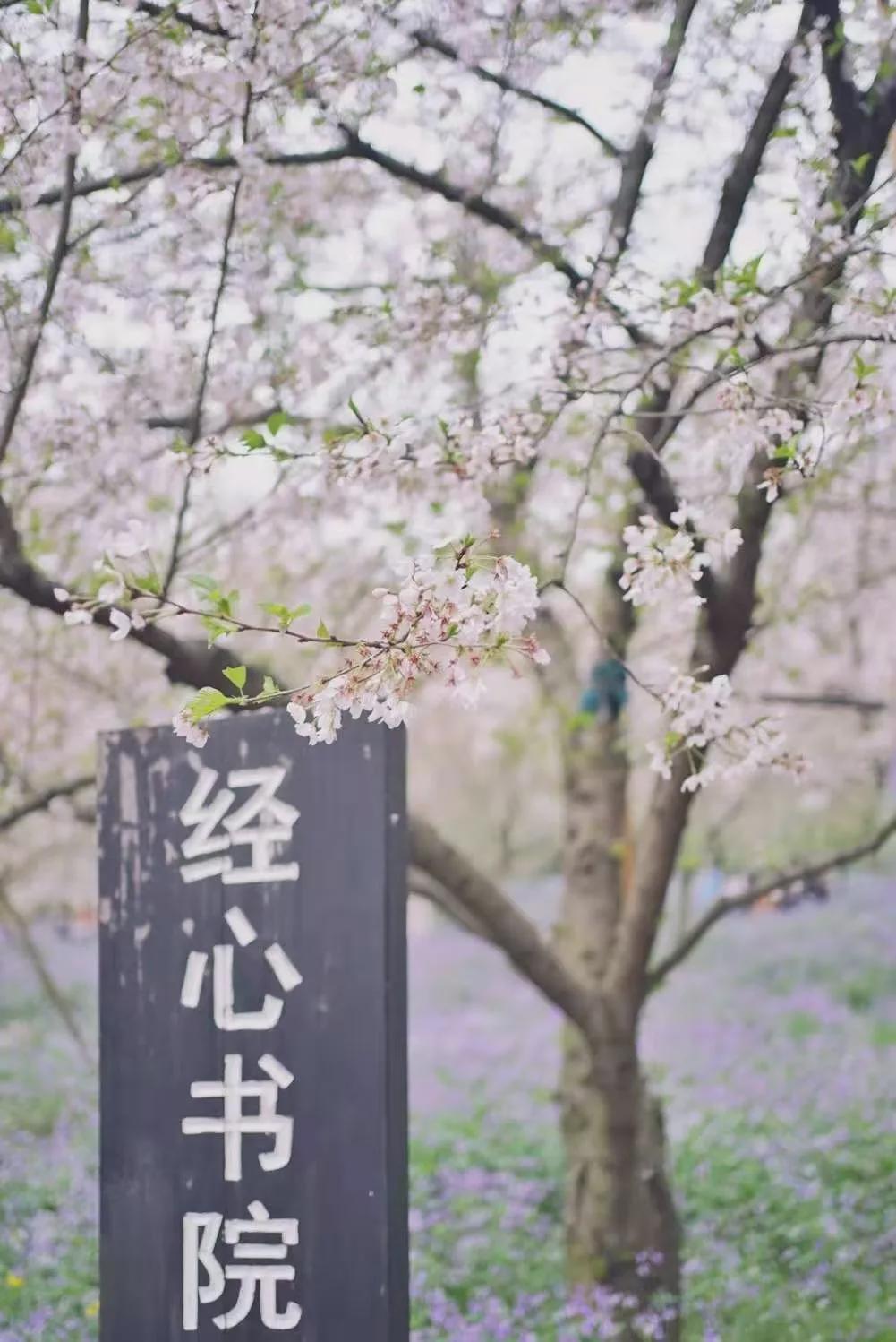 Red the small biscuit that alls over entire network! Beautiful celestial being, bite glibly crisp sweet