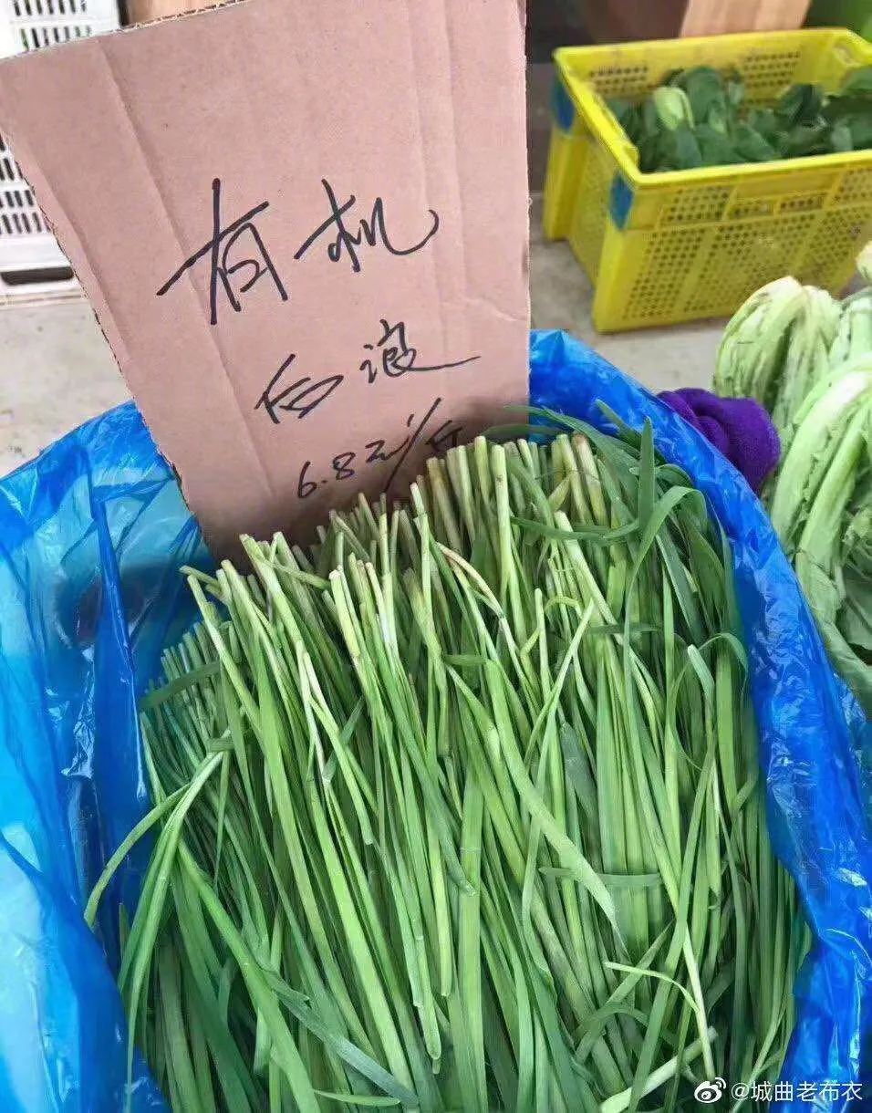 青年女孩翼装飞行惨死，到底是“后浪”，还是“孟浪”？