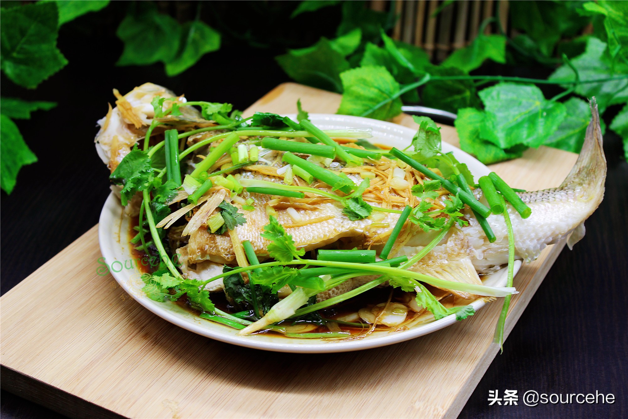 春節家宴不用愁，學會這9道魚的做法，每天一道不重樣