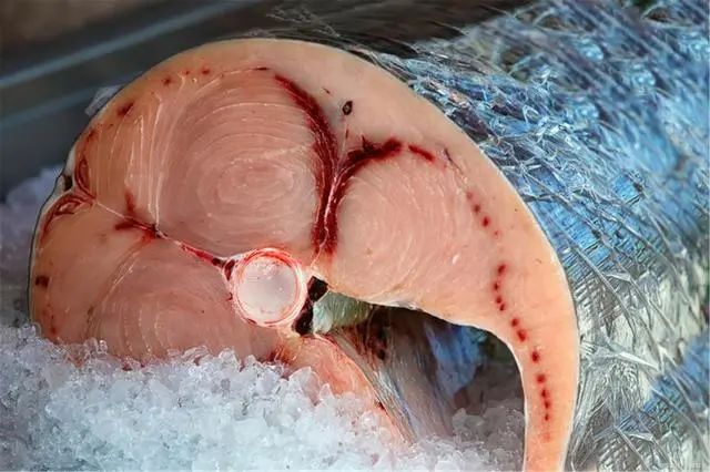 爱吃鱼的人注意了，什么鱼能吃什么鱼不能吃您知道吗？