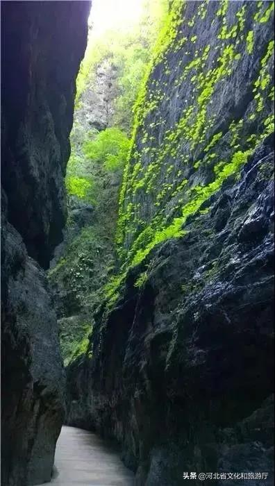 深度体验之旅,开启长城内关品味游
