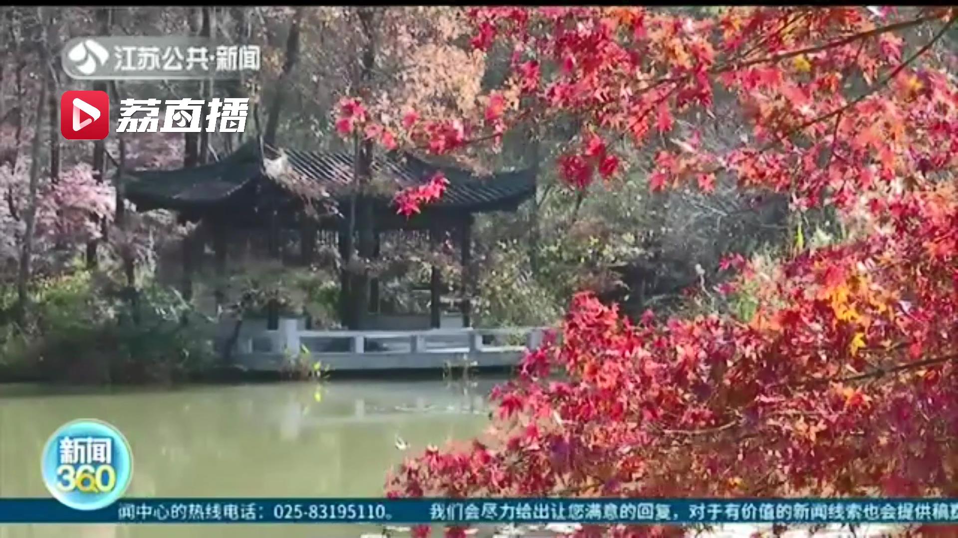 降温了！本周两轮冷空气来袭 江苏气温坐上“过山车”