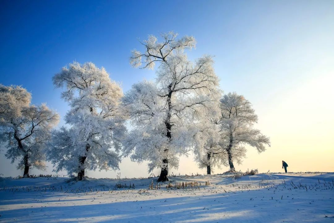 100句雪诗词，遇见最美冬天-第4张图片-诗句网