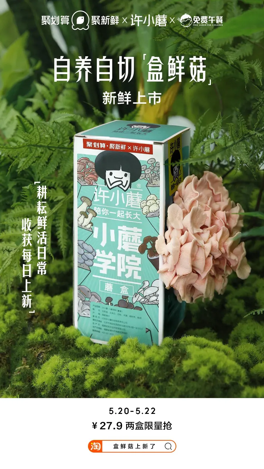 年轻人种蘑菇，农产品「聚划算」