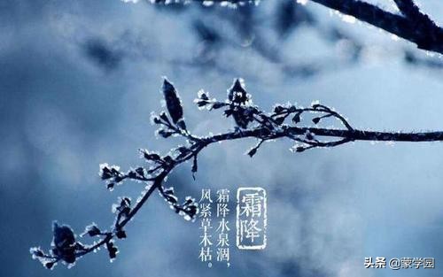 48首唐诗宋词带你赏遍四季-第17张图片-非凡网