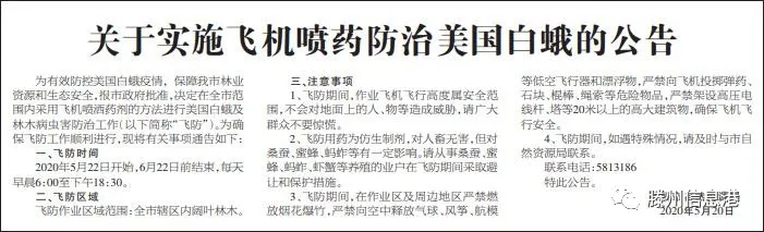 滕州关于实施飞机喷药防治美国白蛾的公告！自