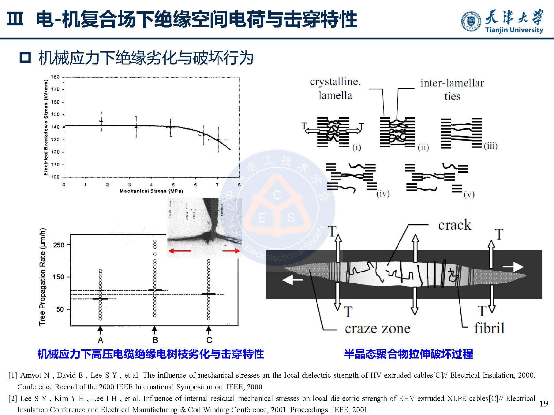 天大李忠磊副教授：多物理场下直流电缆绝缘电荷输运与击穿特性