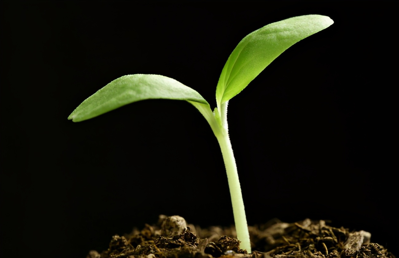 人類將火星作為移居地比較現實，可分3步對它的環境進行改造