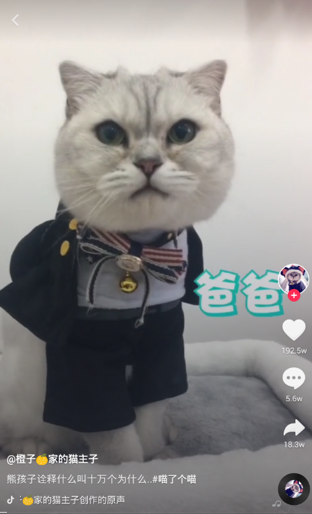 抖音如何低成本打造爆款？这里总结了几个最实用的方法