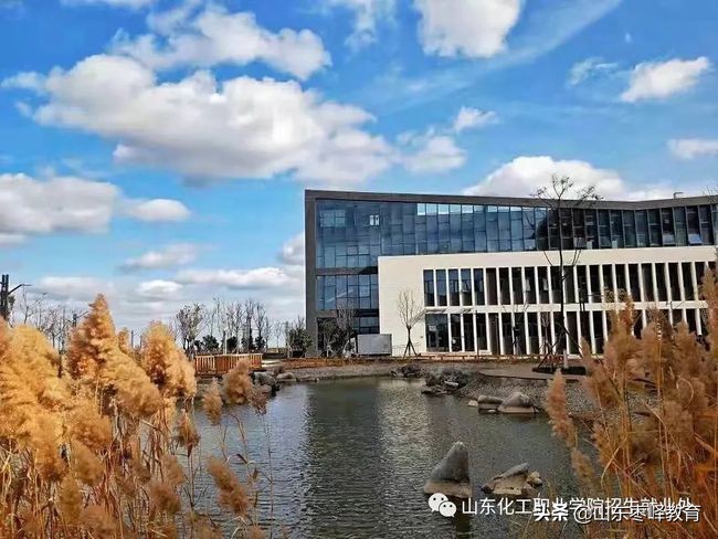 山東化工職業(yè)學院2021五年一貫制、中職招生、高考強化班招生簡章