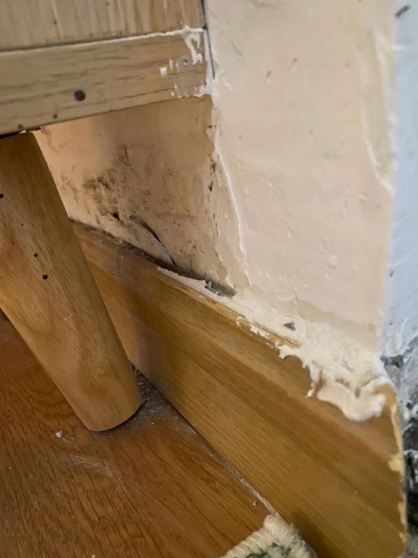 郑州市民投诉正在装修的房子被暖气试压给“淹”了，多天无人解决！物业和热力公司如此回应