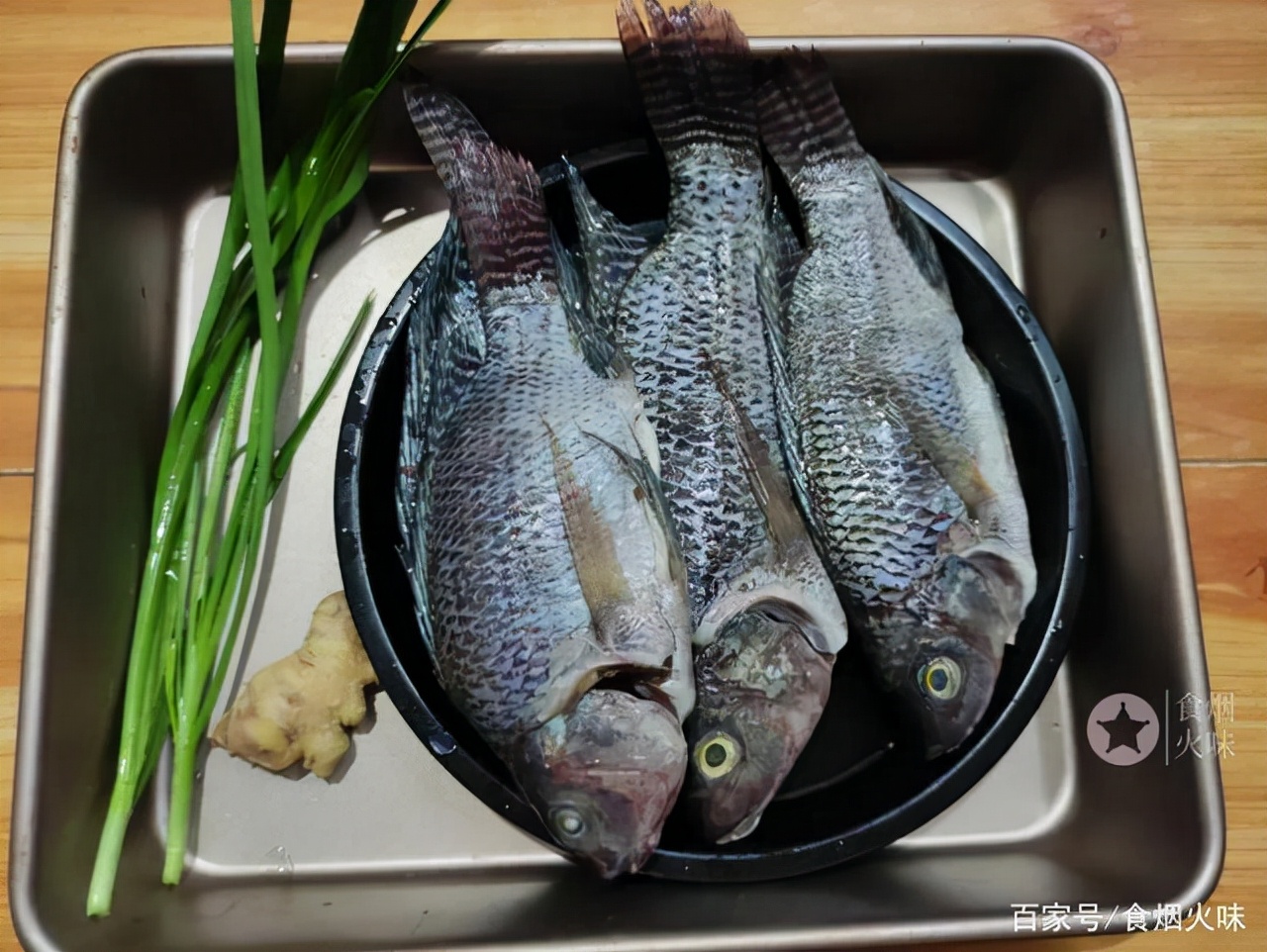 入秋後經常給孩子吃這魚，營養價值高，讀書的孩子越吃越聰明_食煙火味 