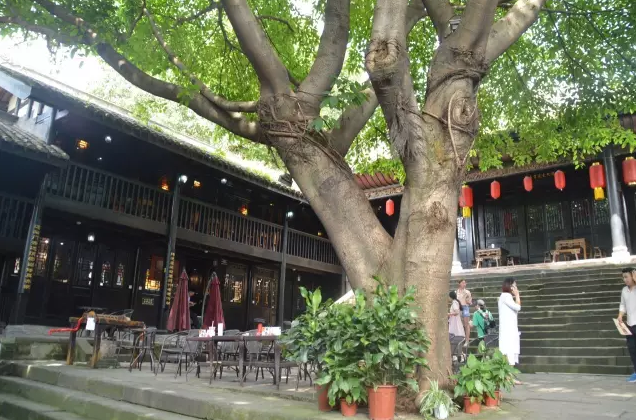 双晒|沙坪坝：“双晒”直播正式亮相！晒出城市山水颜值和精神气质