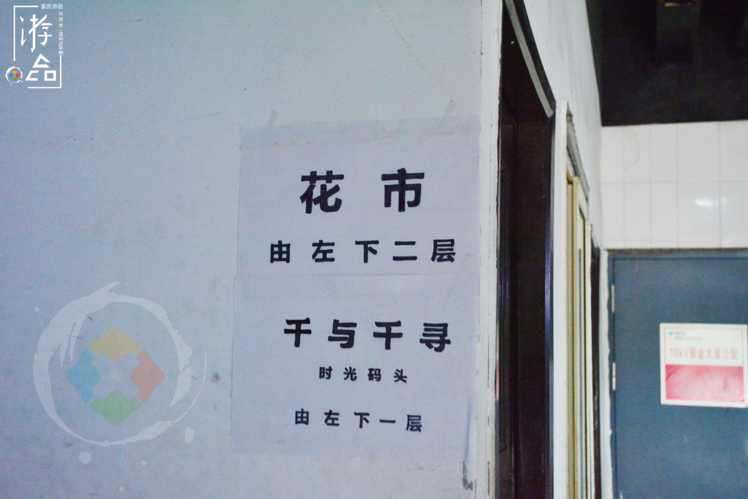 “漂在”重庆码头边的花市：位置偏僻环境差，但价格是主城最低的