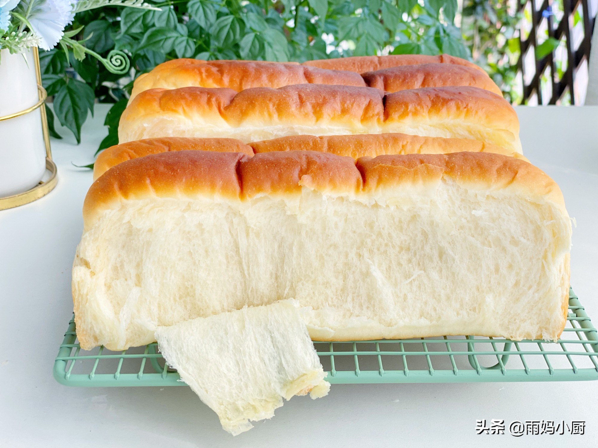 做过的面包里，最松软的就是奶排包，组织细腻又拉丝奶香味十足