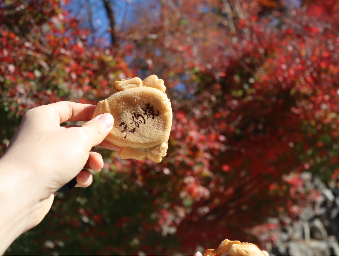 天狗真的是狗麽？如何成為一個半神半妖的存在