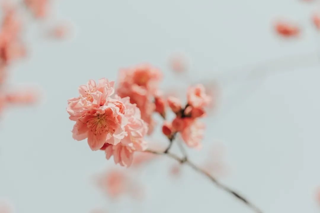 这些朗朗上口的冷门诗词，没读过可是一大损失-第3张图片-非凡网