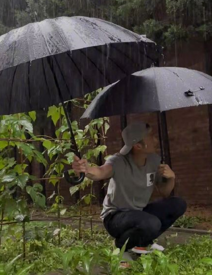 谢霆锋雨天蹲坐菜地，双手打伞护菜园，画面喜感太有趣