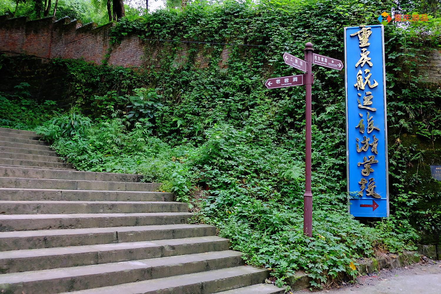 北京夫妻来重庆开的民宿，467元一晚，被他们当作真正的家