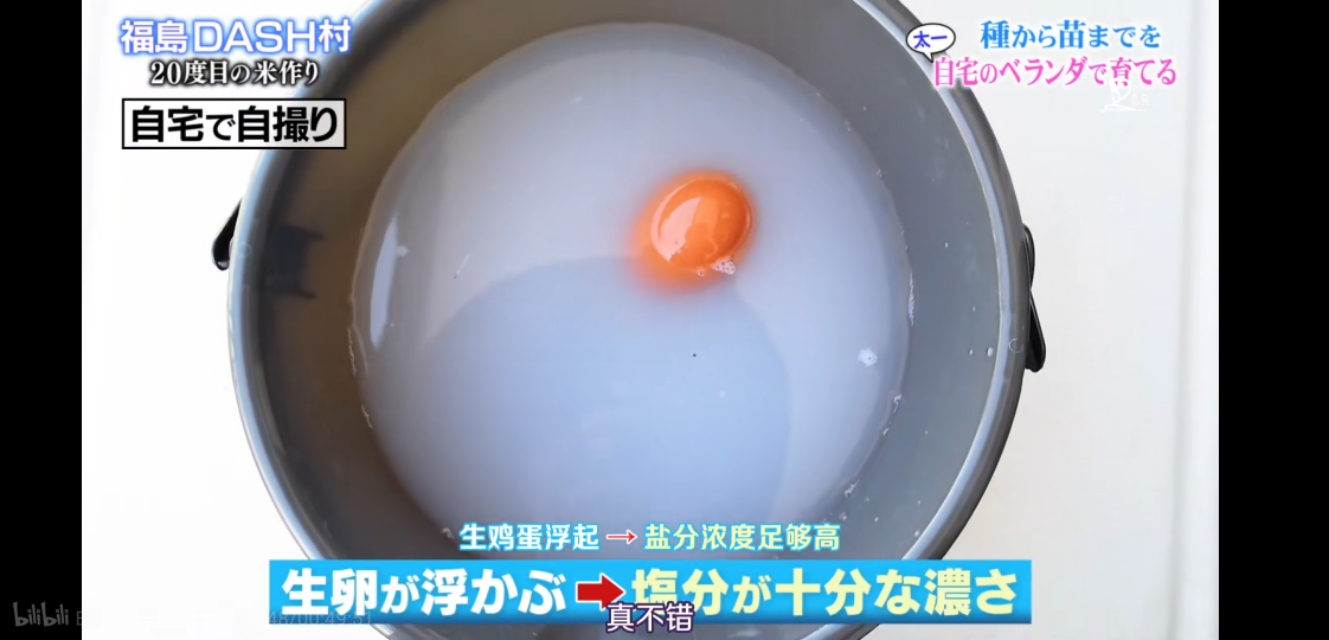 日本人，真会玩儿！这个日本综艺告诉你，如何