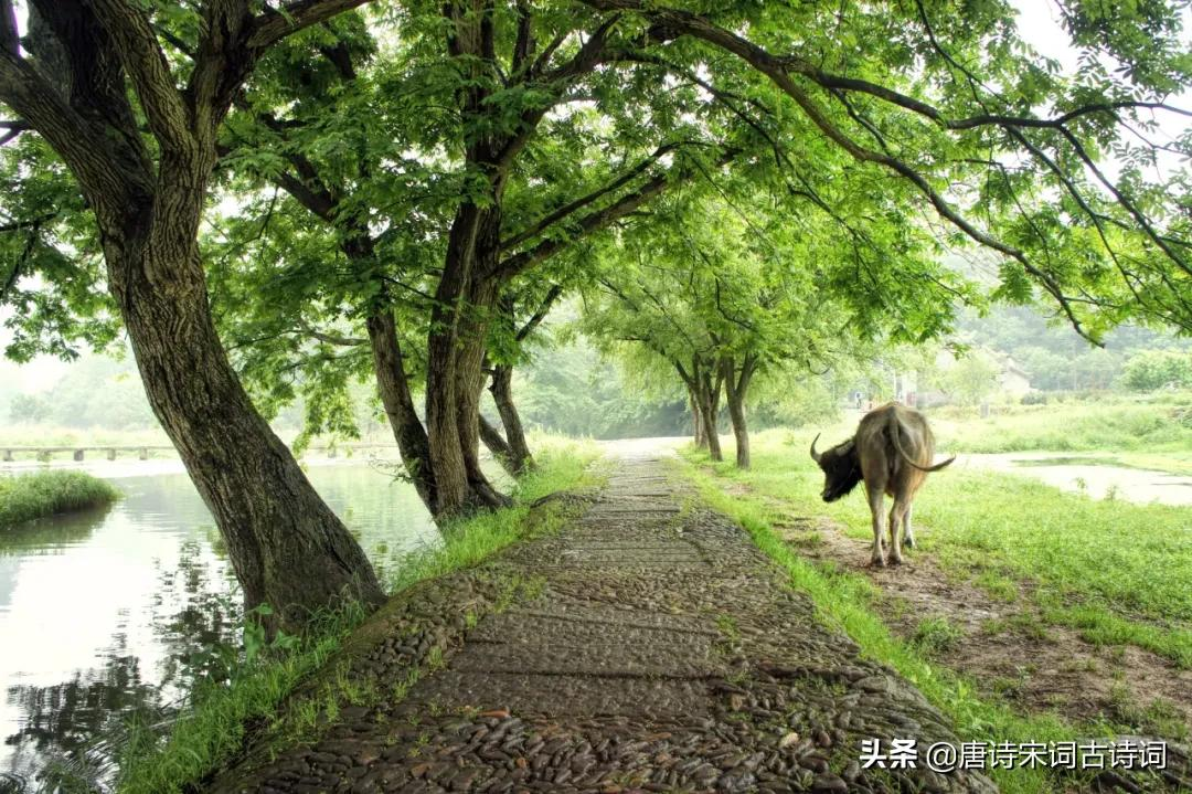 走在乡间的小路上-第1张图片-非凡网 走在乡间的小路上-第1张图片-非凡网