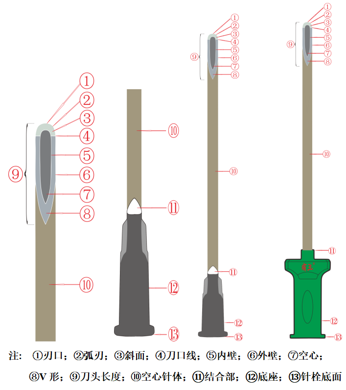 再添殊荣！弧刃针技术被医学界权威——《疼痛康复指南》介绍推荐！-痛王集团