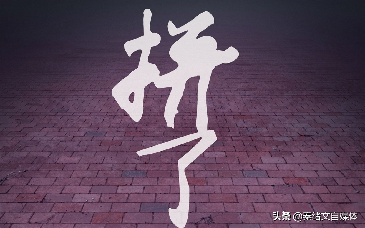 秦绪文：你关注的人，决定你看到的世界