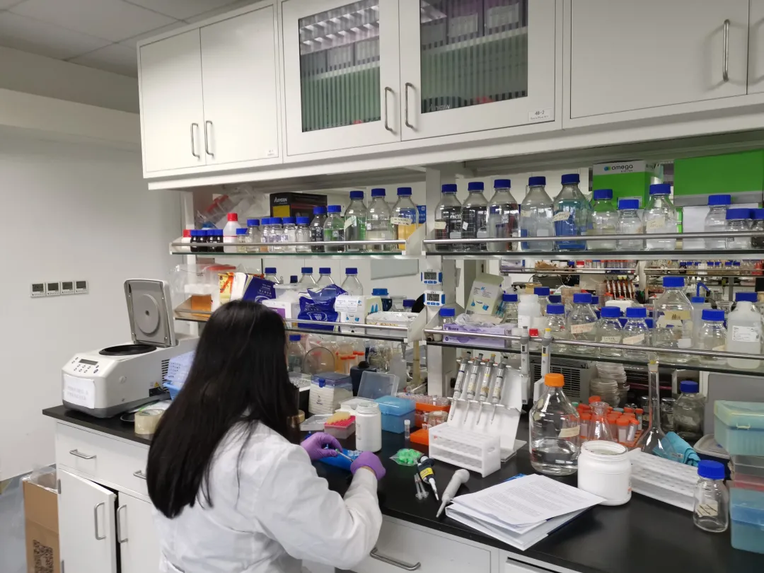 ��0��1���й���ѧ�Ҹı���ʷ