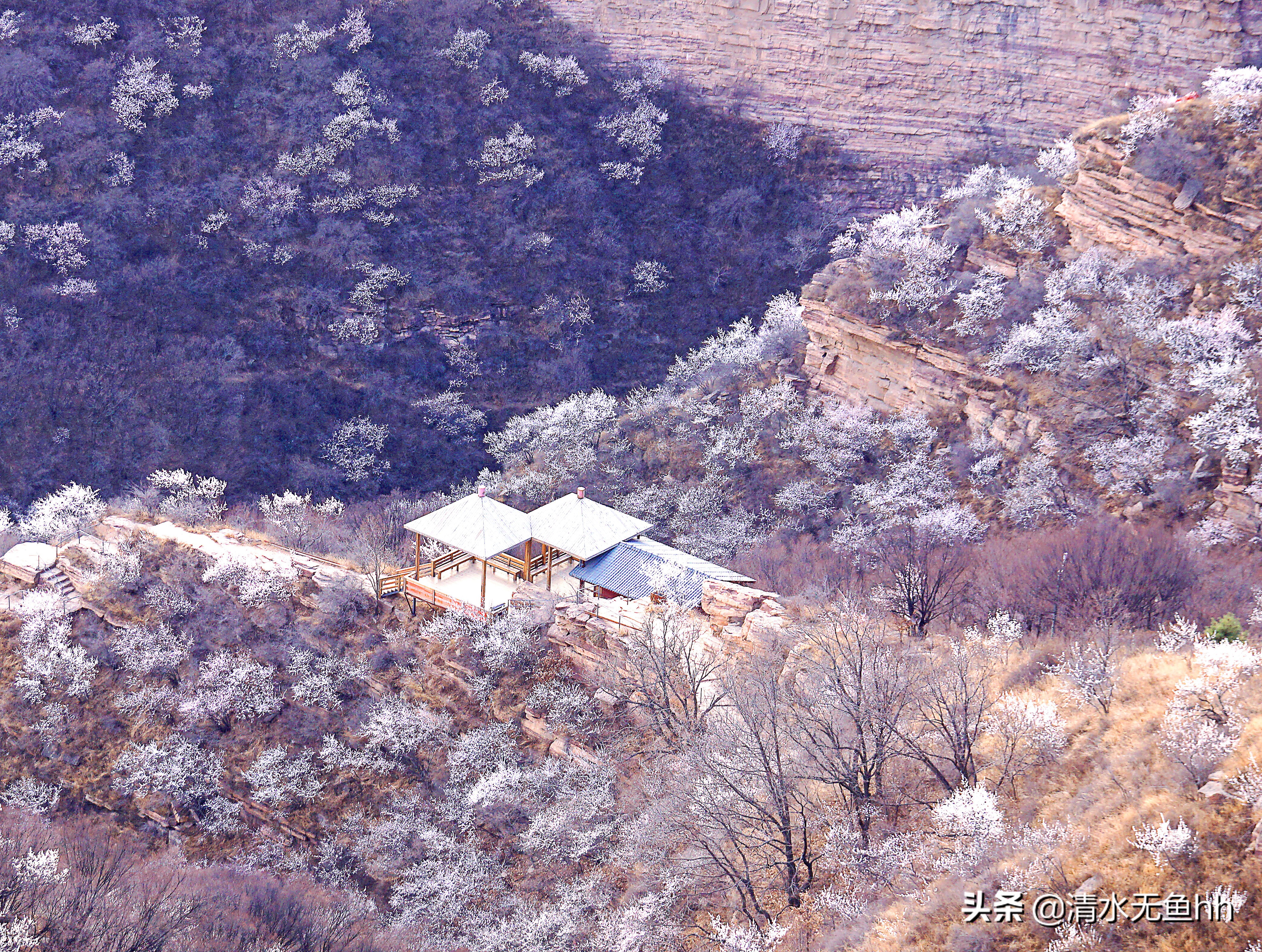 九龙峡，谁把桃花移画中
