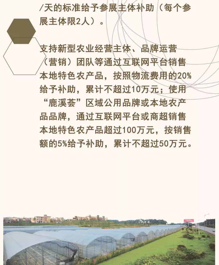 乡村振兴高质量发展十条政策