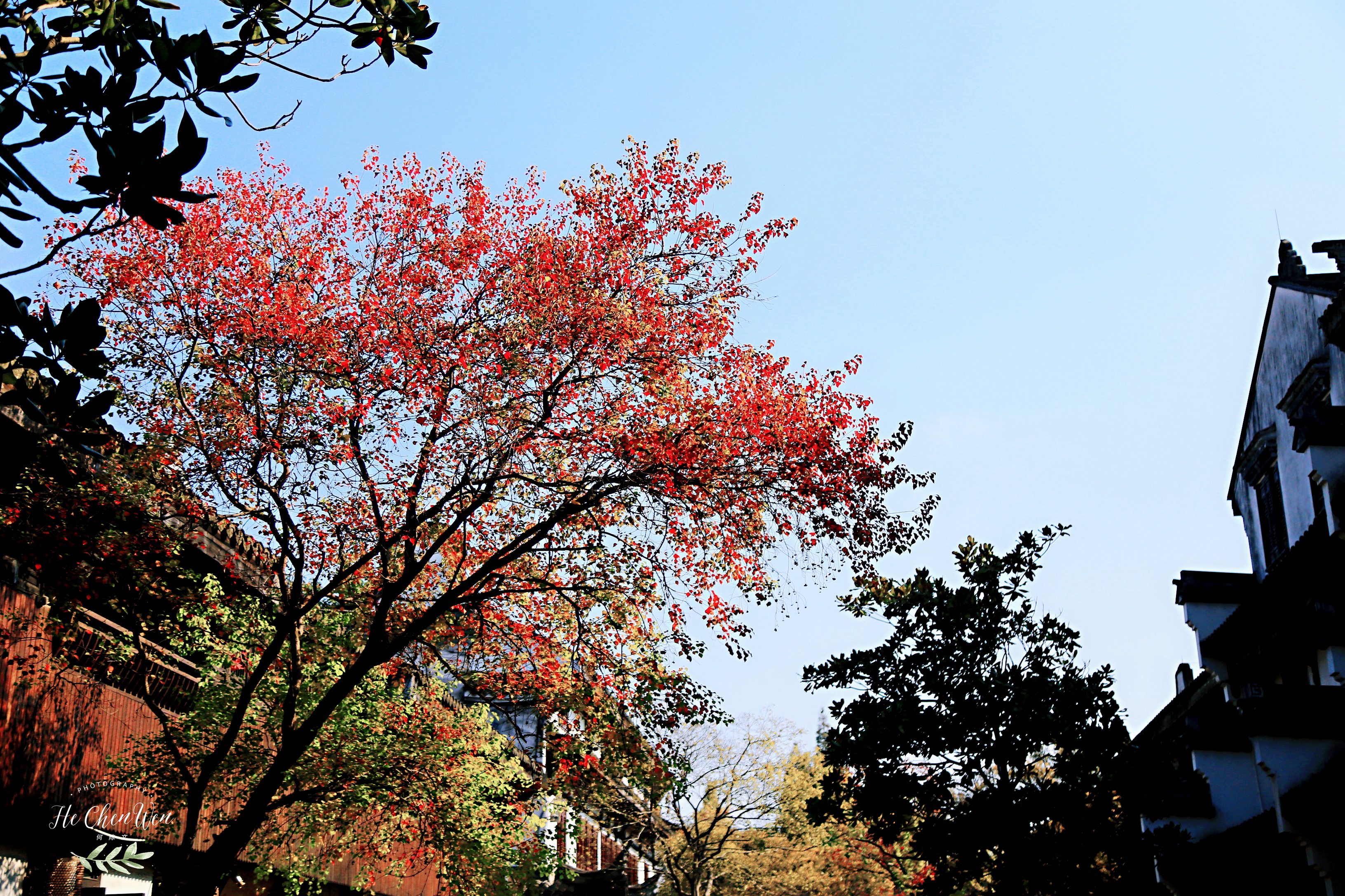 四川仿古风貌