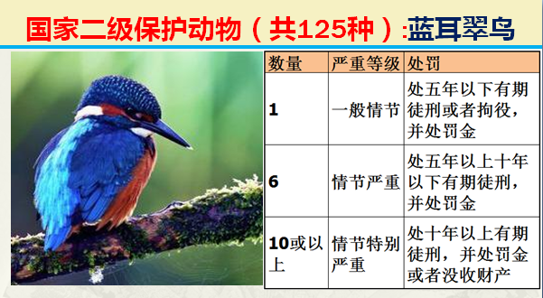 国家最新125类二级野生保护名录，图片及违法对应刑责