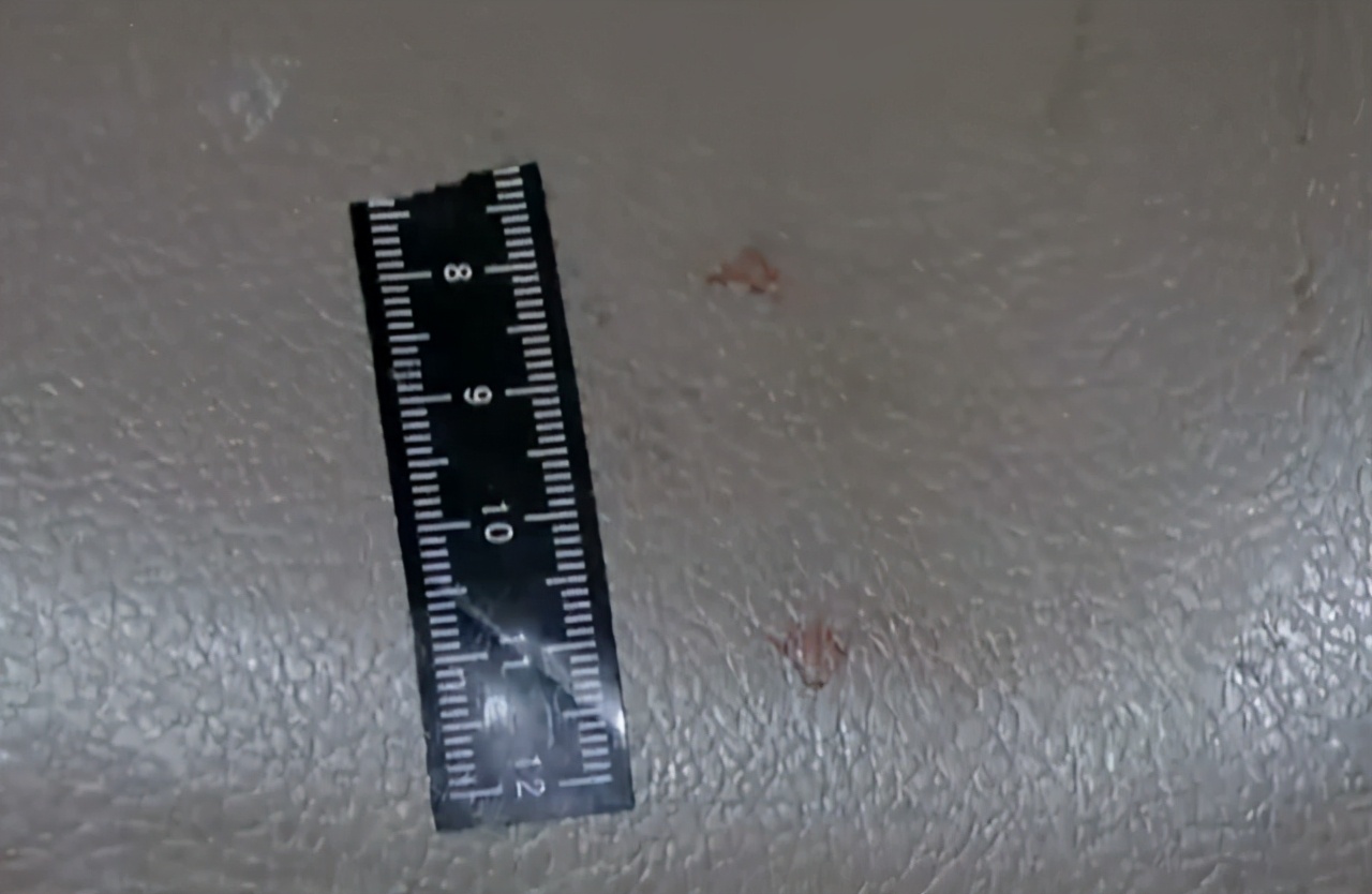 因在丈夫手机发现女子不雅照，妻子惨遭丈夫杀害后抛尸菜地！面对审讯仍为自己开脱