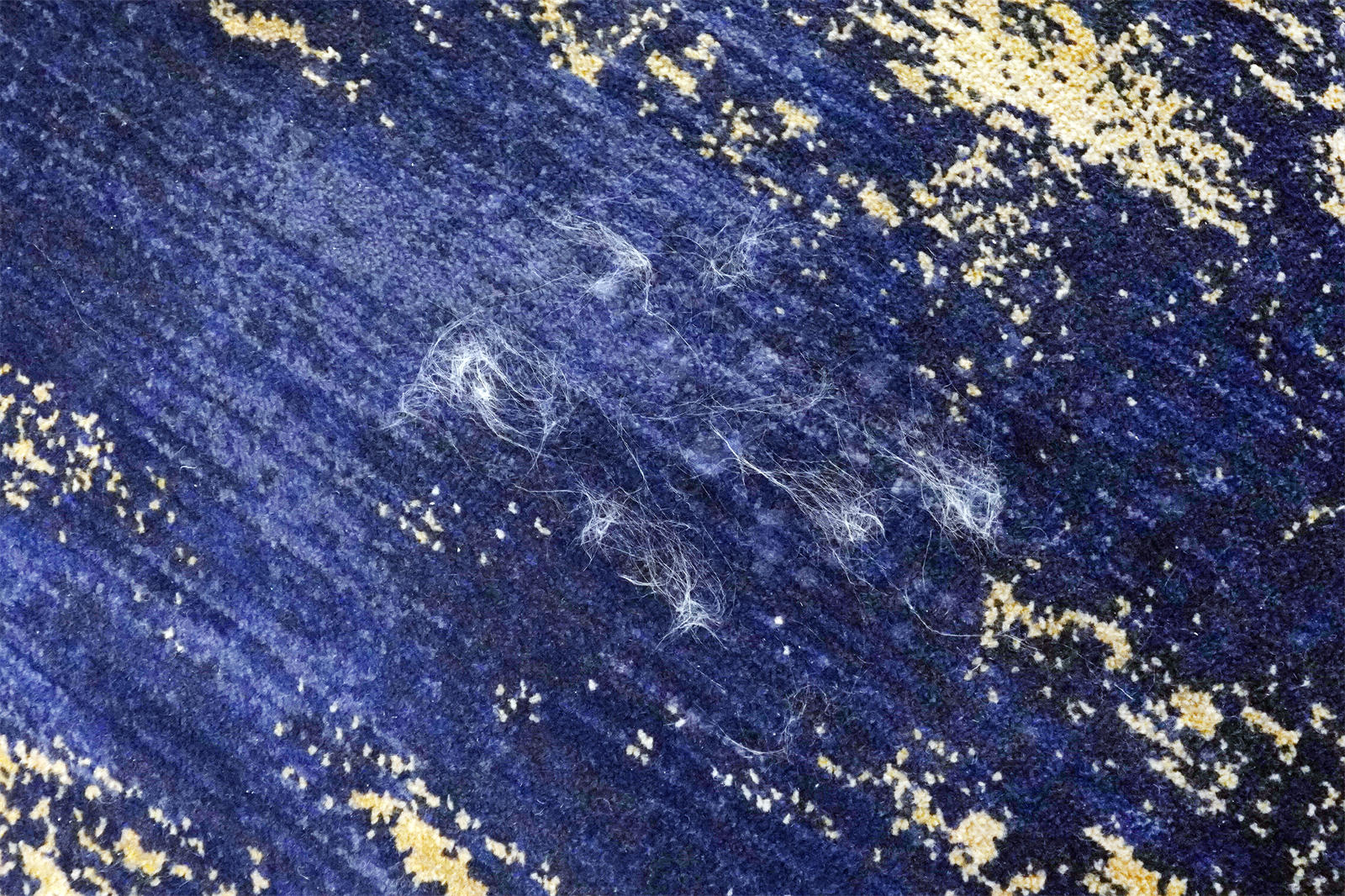 2021年家庭清洁工具如何选择？必胜洗地机开箱评测