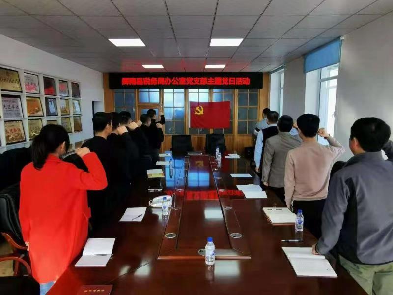 加强党性修养，认真学习党章，辉南税务局主题党日亮点纷呈