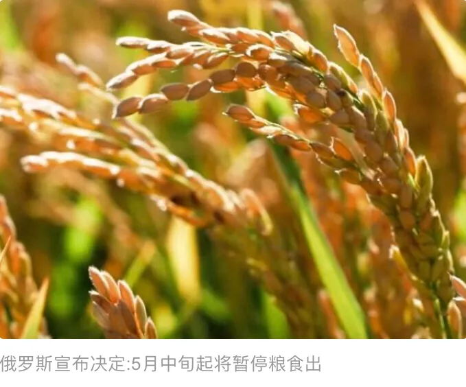 俄罗斯经济没被病毒击垮，率先陷入粮食危机？
