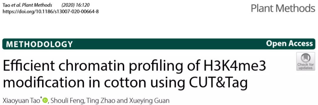 CUT&Tag技术用于棉花染色质H3Kme3修饰研究