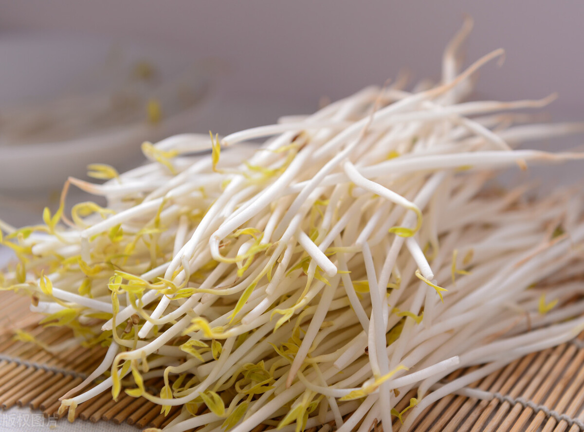 春分吃芽，5種�春芽�可多吃，2種�毒芽�不能吃，健康最重要