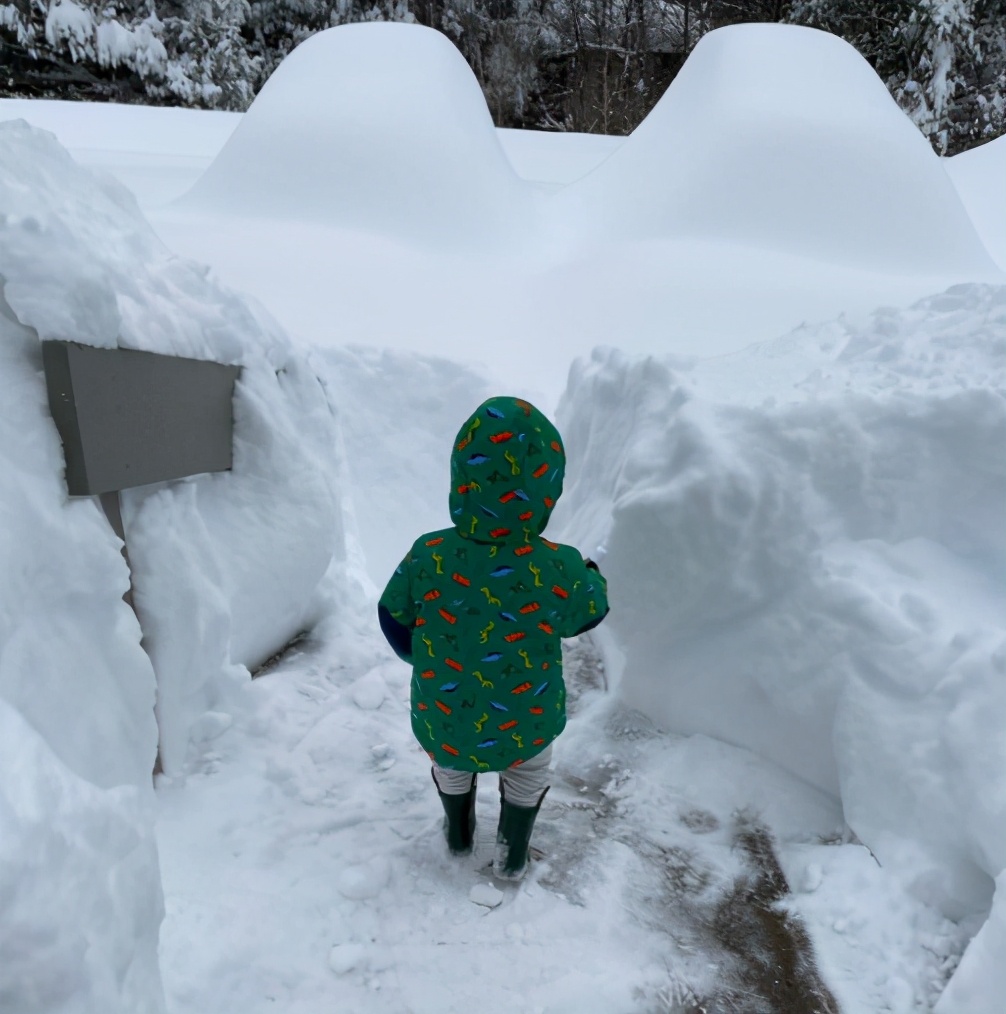 纽约下了一场“破纪录”的雪，网友们都玩嗨了