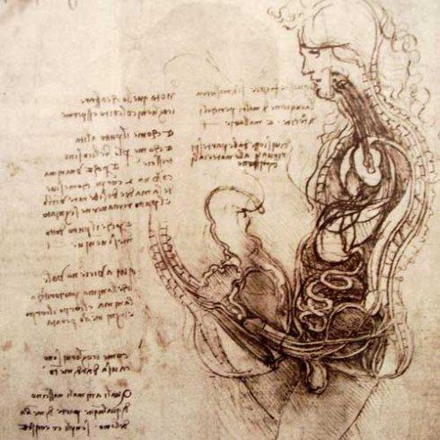 达芬奇是来自未来？达芬奇就是上帝放到人间，来给凡人解闷的