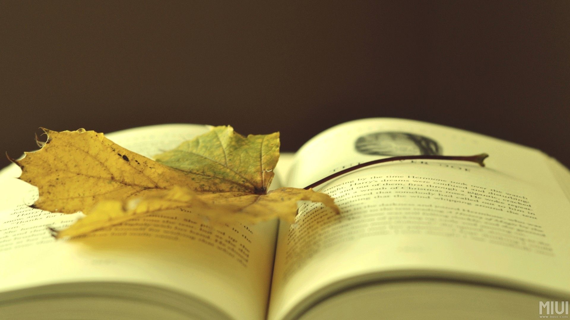 有关记忆的几个科学规律——记忆奥秘探寻！