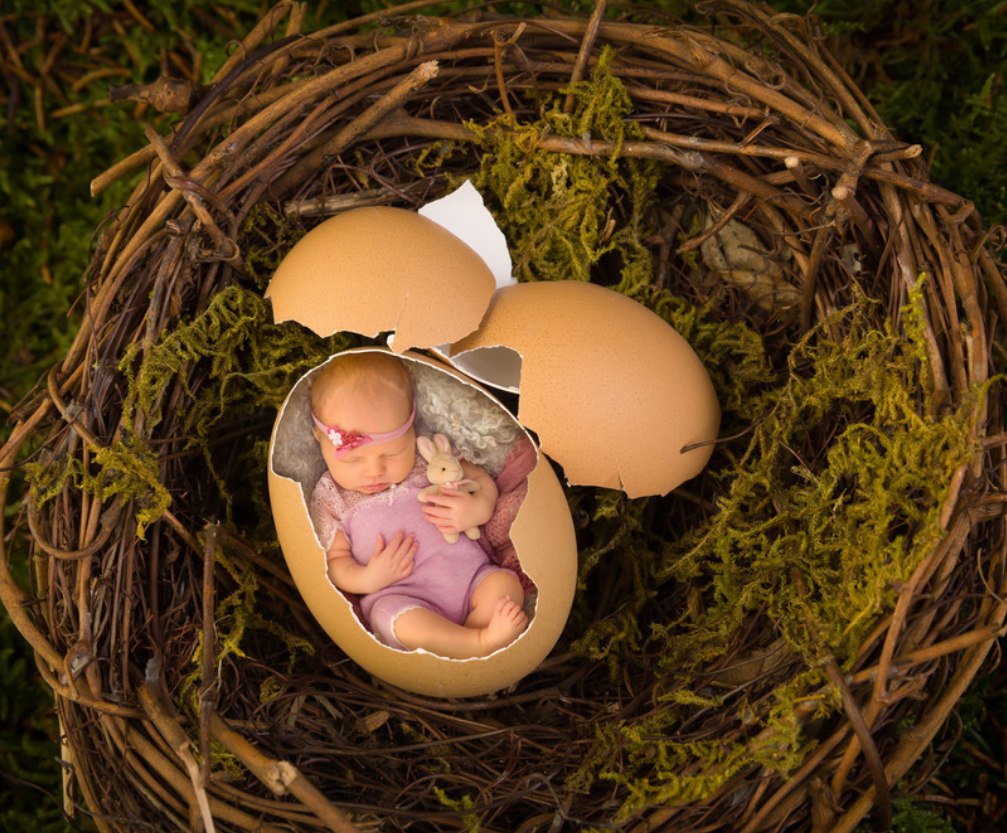郑恺苗苗庆祝女儿满百天，获"全网"好评