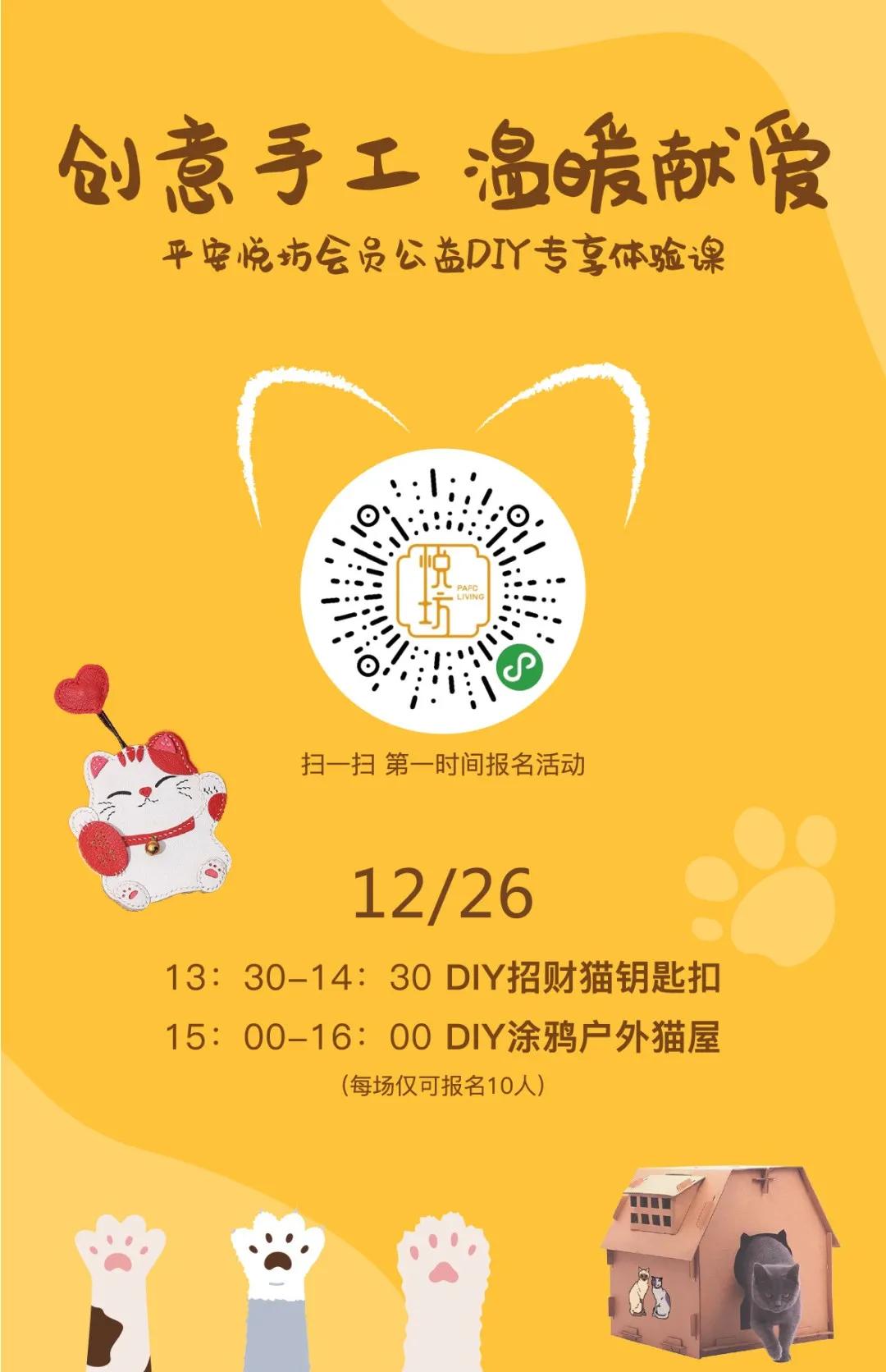 温馨暖冬计划开启，一起为流浪的毛孩子们加油